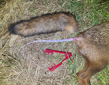 Load image into Gallery viewer, Fox Calls - Fox Tail Tugger Stripper &amp; 3D PLA Retainer Clip Hunting Shooting £9.99 - Post Free UK
